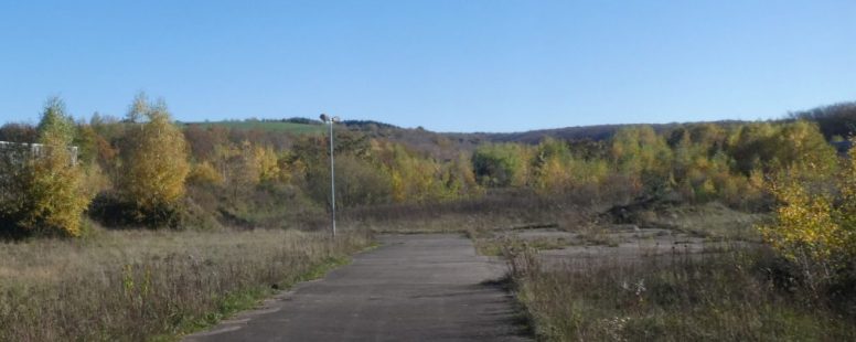 Halboffenes Weideprojekt