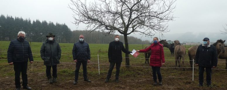 Start des Weideprojekts am ehemaligen Truppenübungsplatz