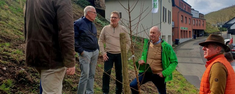 Stadt Saarburg und Lions Club Saarburg setzen auf klimaresiliente Bepflanzung