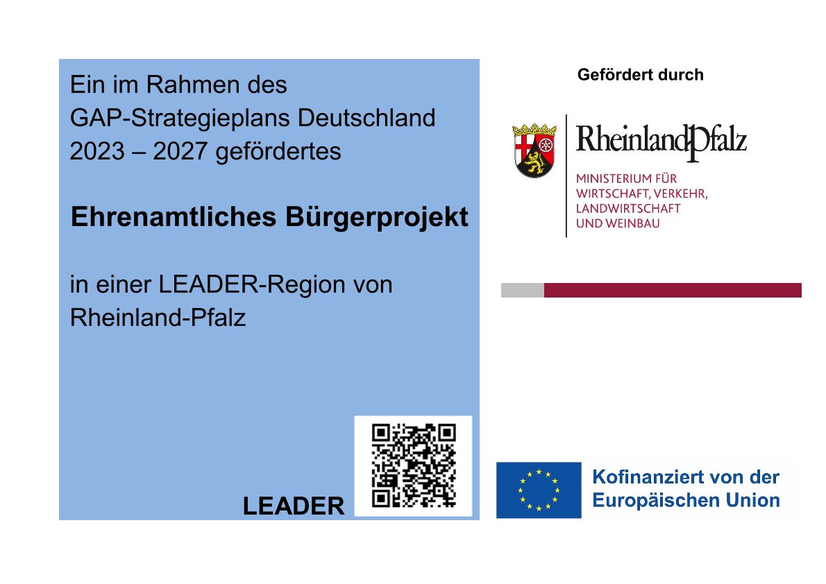 Bild ist ein Förderhinwei, zeigt Logo EU und RLP